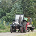IMG_2009 (800x600)
