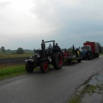 panningen 2011 025 (800x600)