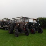 panningen 2011 028