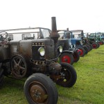 panningen 2011 051